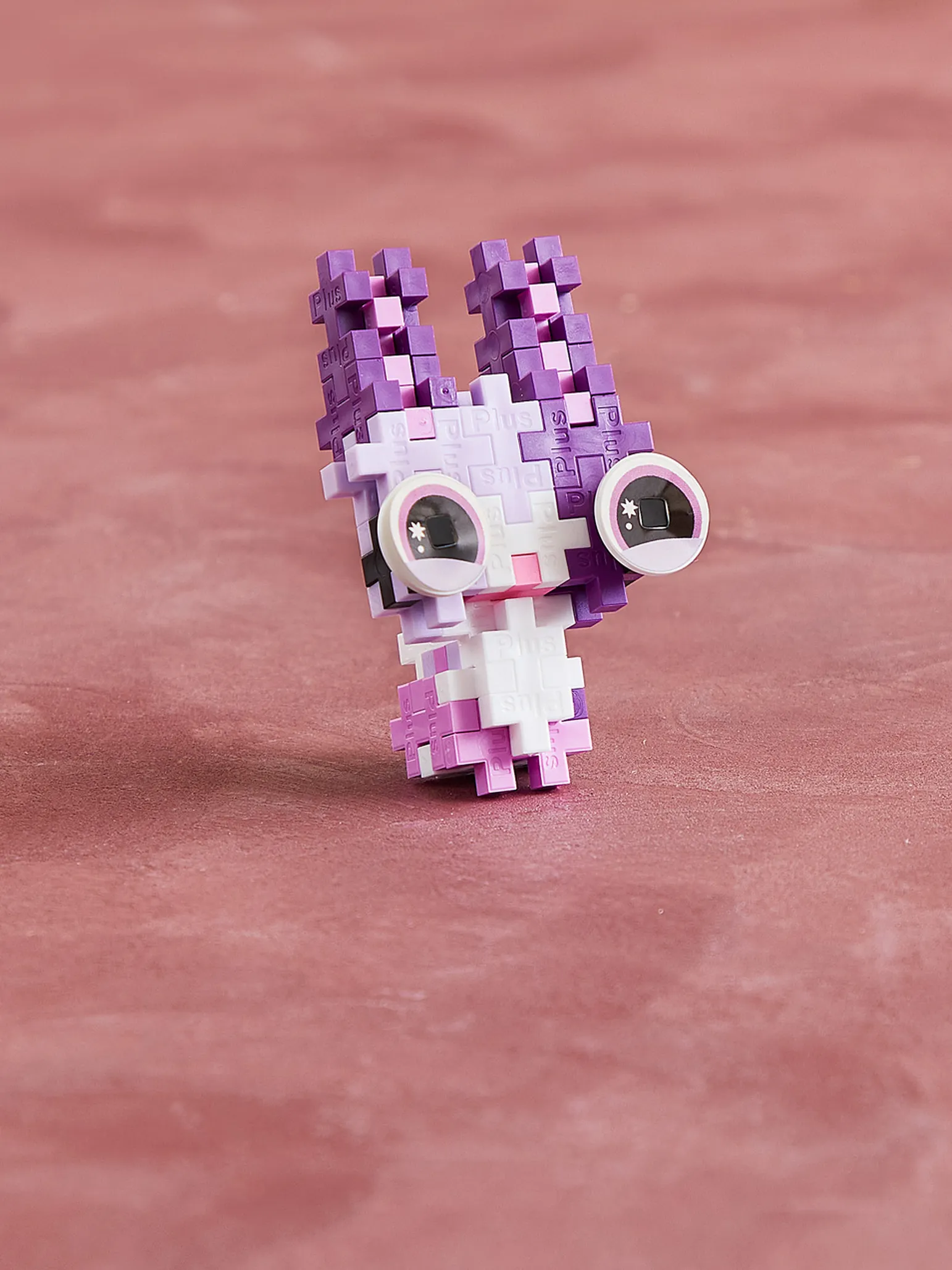 Husdjurspaket – Kanin